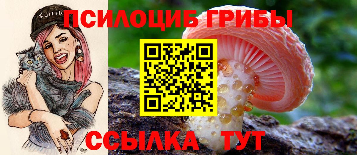 Псилоцибиновые грибы Psilocybine cubensis Костомукша
