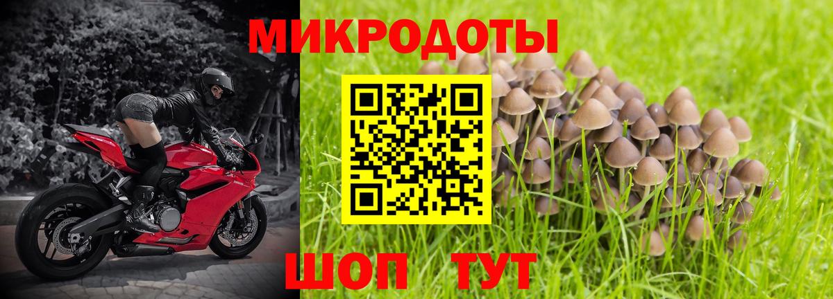 Костомукша  Галлюциногенные грибы Psilocybe  Галлюциногенные грибы мицелий  закладка  Вход с VPN 